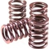 Clutch Springs