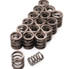 Valve Springs