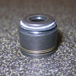 Orient Express Valve Guide Seals