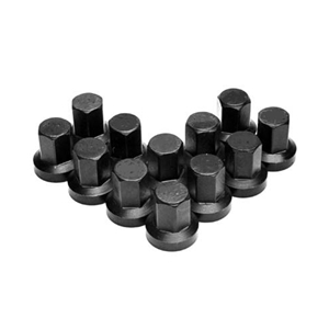 APE Cylinder Head Nuts