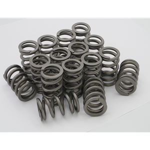 Orient Express Valve Springs