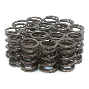 Orient Express Valve Springs