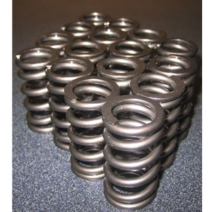 Orient Express Valve Springs