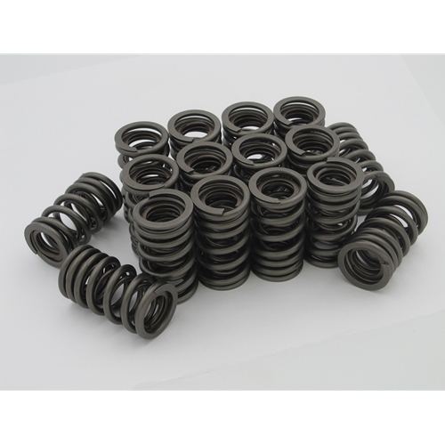 Orient Express Valve Springs